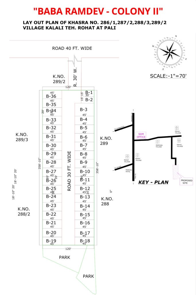 baba ramdev colony ii