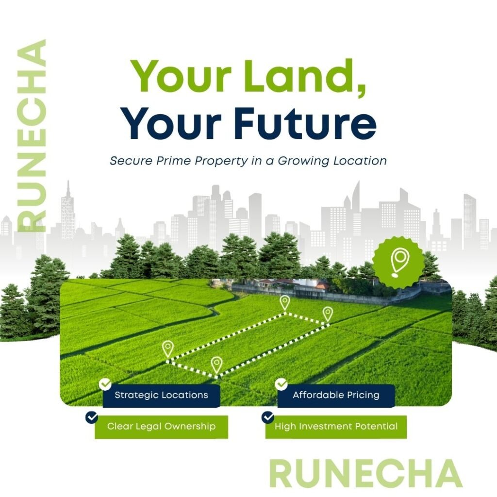 best lands from runecha