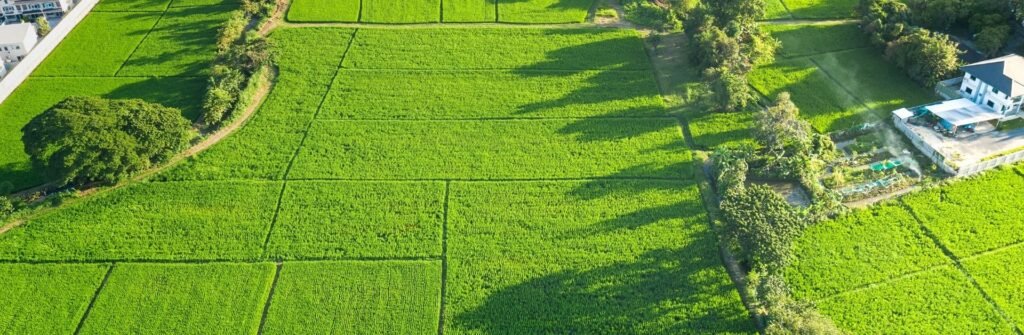 ongoing projects (1)