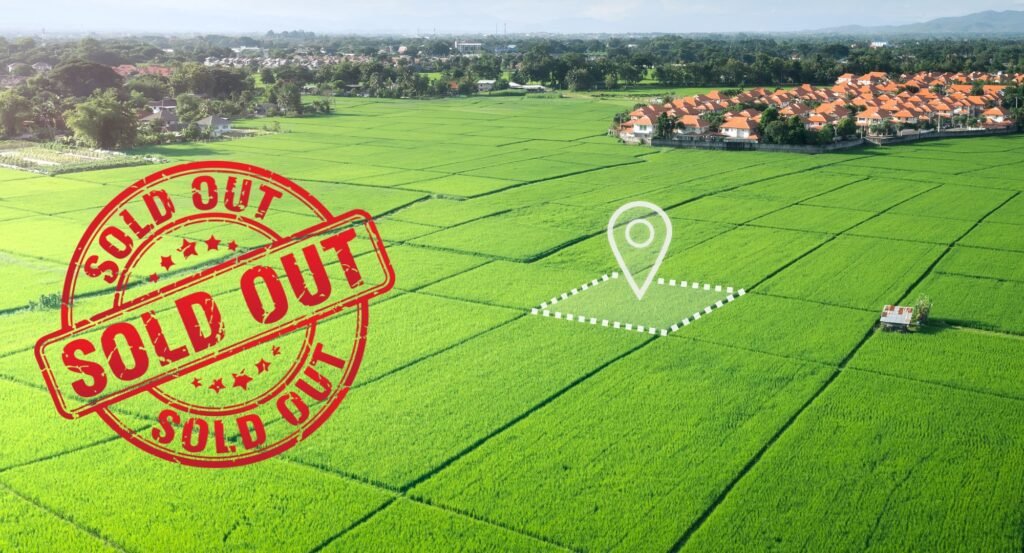 runecha plots project 1